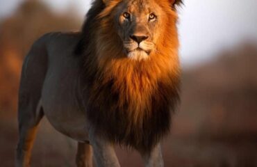 WhatsApp-Image-2025-10-08-at-2.06.10-PM-1