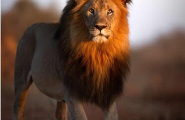 WhatsApp-Image-2025-10-08-at-2.06.10-PM