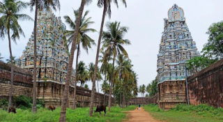 unnamed-2026-02-11T171734.508